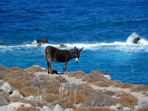 Le paysage depuis le sentier de randonnée à Karpathos