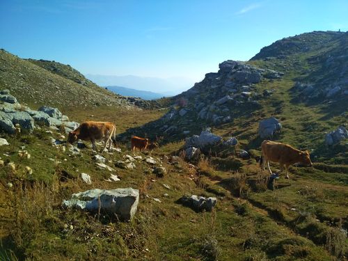 epire-itineraire-astraka-tsepelovo Itinéraire de randonnée en Grèce de 15 jours : circuit Épire Météores et Corfou , sur les hauteurs du Mont Timfi