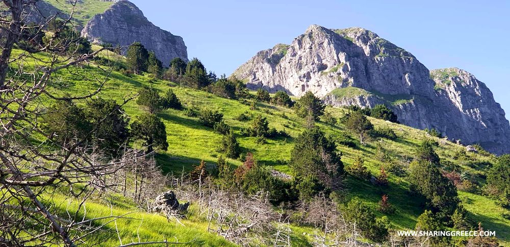 Itinéraire de randonnée en Grèce de 15 jours : circuit Épire Météores et Corfou , sur les hauteurs du Mont Timfi