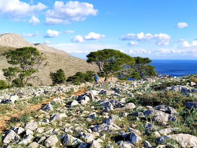 Voyage randonnée Grèce, séjour à Hydra