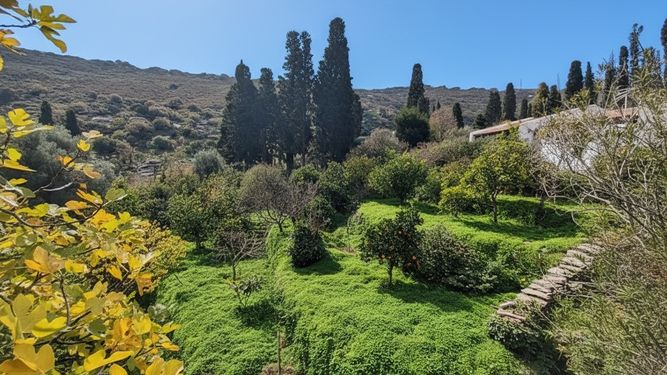 Randonnee Andros Stenies